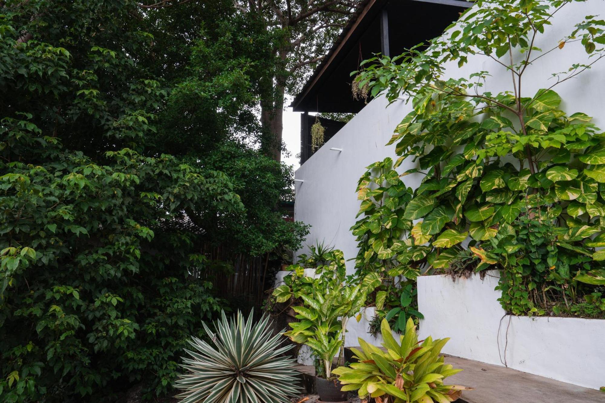 Lunar Villas Koh Tao - Luxury Private Pool Villas Екстериор снимка